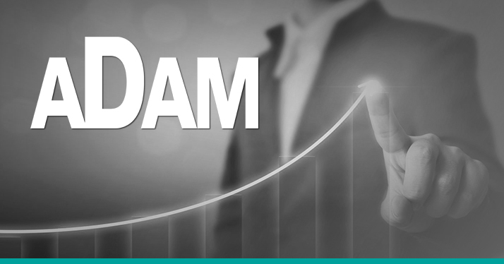 Adam Consultancy Services