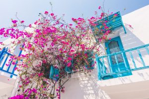 Incoming Tour Operators in Greece